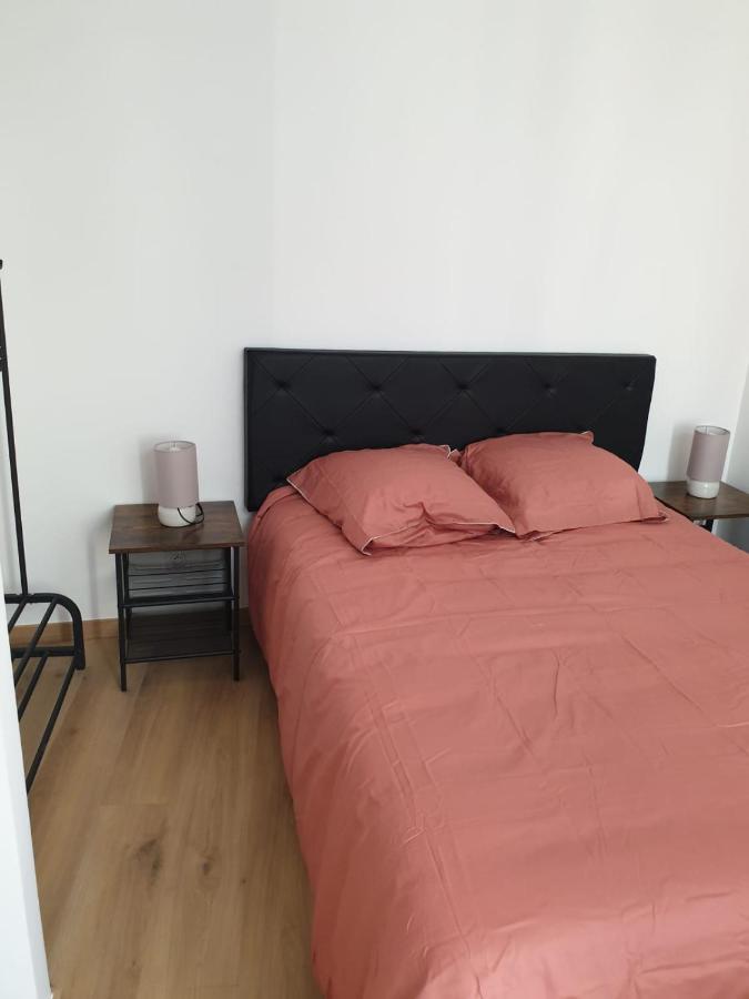Appartement Dali Centre Historique 佩皮尼昂 外观 照片